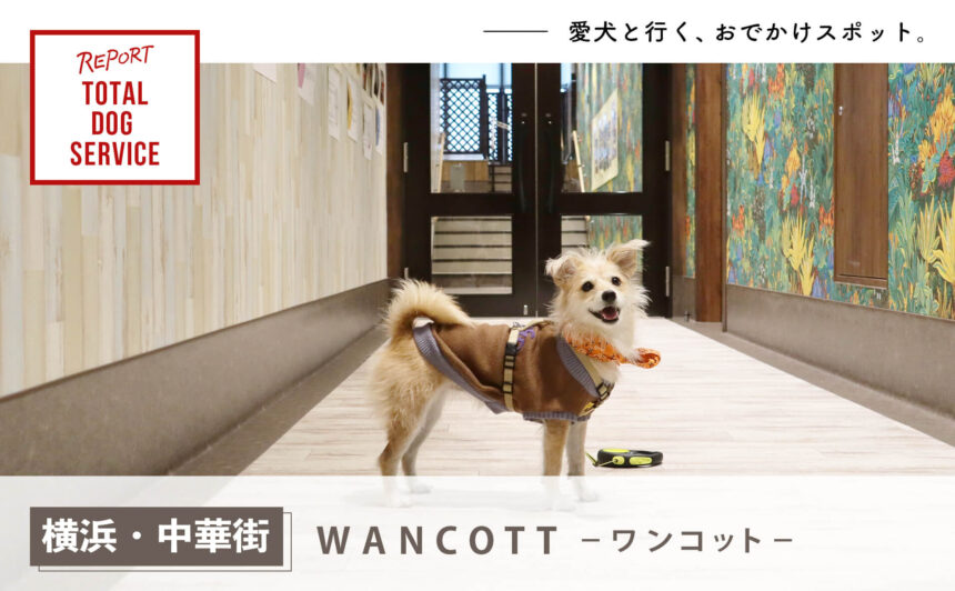 【横浜・中華街】国内最大級の室内ドッグランなど巨大複合施設『WANCOTT（ワンコット）』