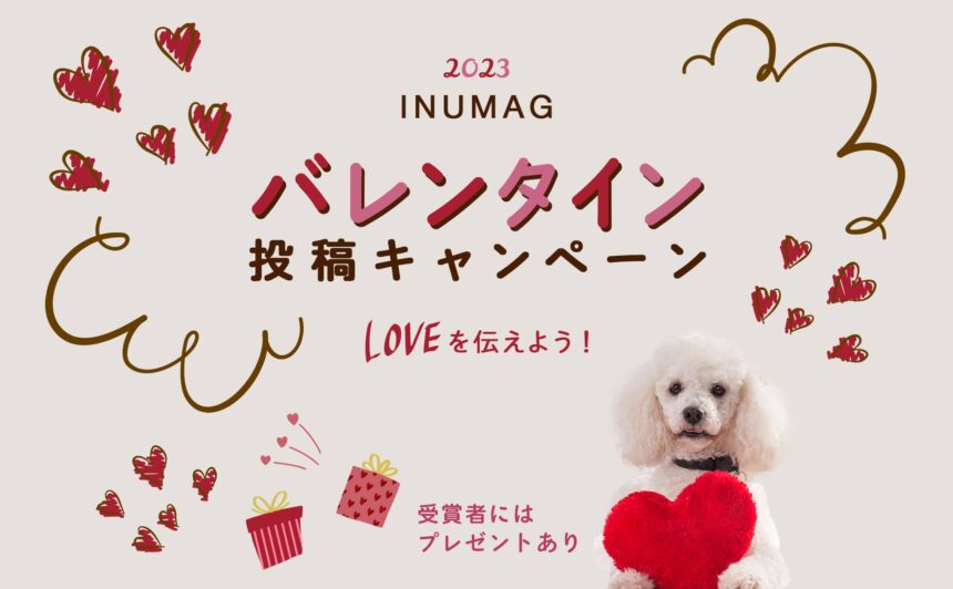 第2回バレンタイ写真投稿キャンペーン〜愛犬にラブを伝えよう〜