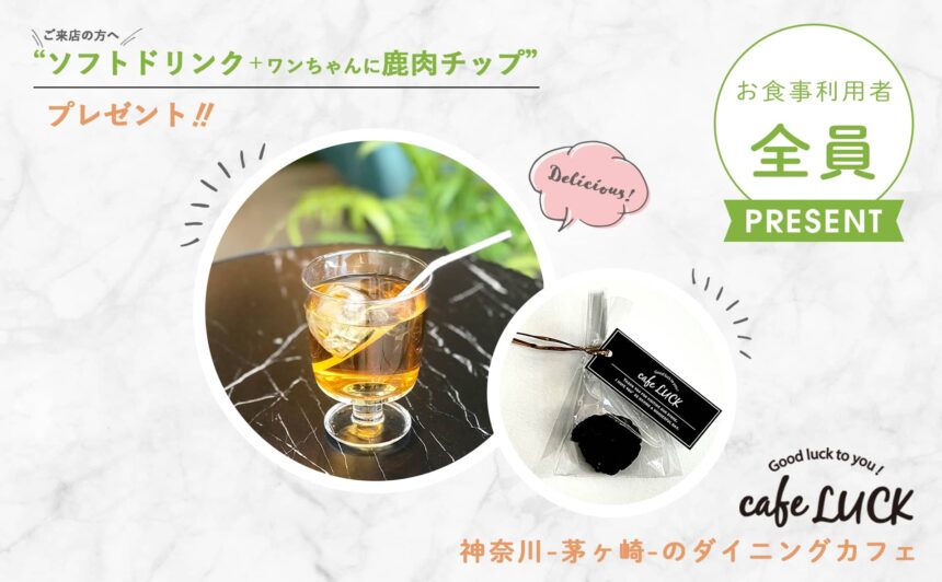『cafe LUCK』”ソフトドリンク＆ワンちゃん用 鹿肉チップ”プレゼント!!
