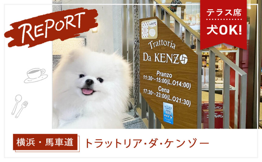 【横浜・馬車道】愛犬とカジュアルに贅沢イタリアン『トラットリア・ダ・ケンゾー』