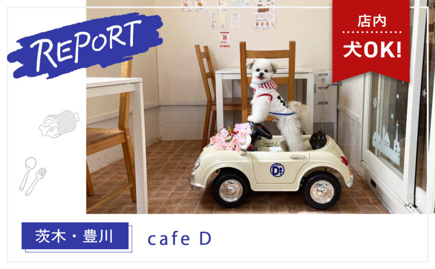 【茨木・豊川】店内犬OK！サイフォン式コーヒーとフレンチトーストがおいしい『cafe D』