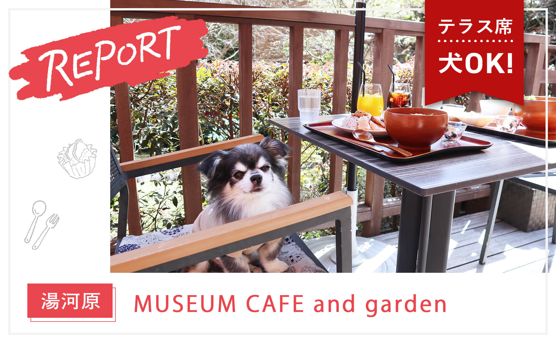 【湯河原】足湯付きの豆腐料理がおいしいカフェ『MUSEUM CAFE and garden』