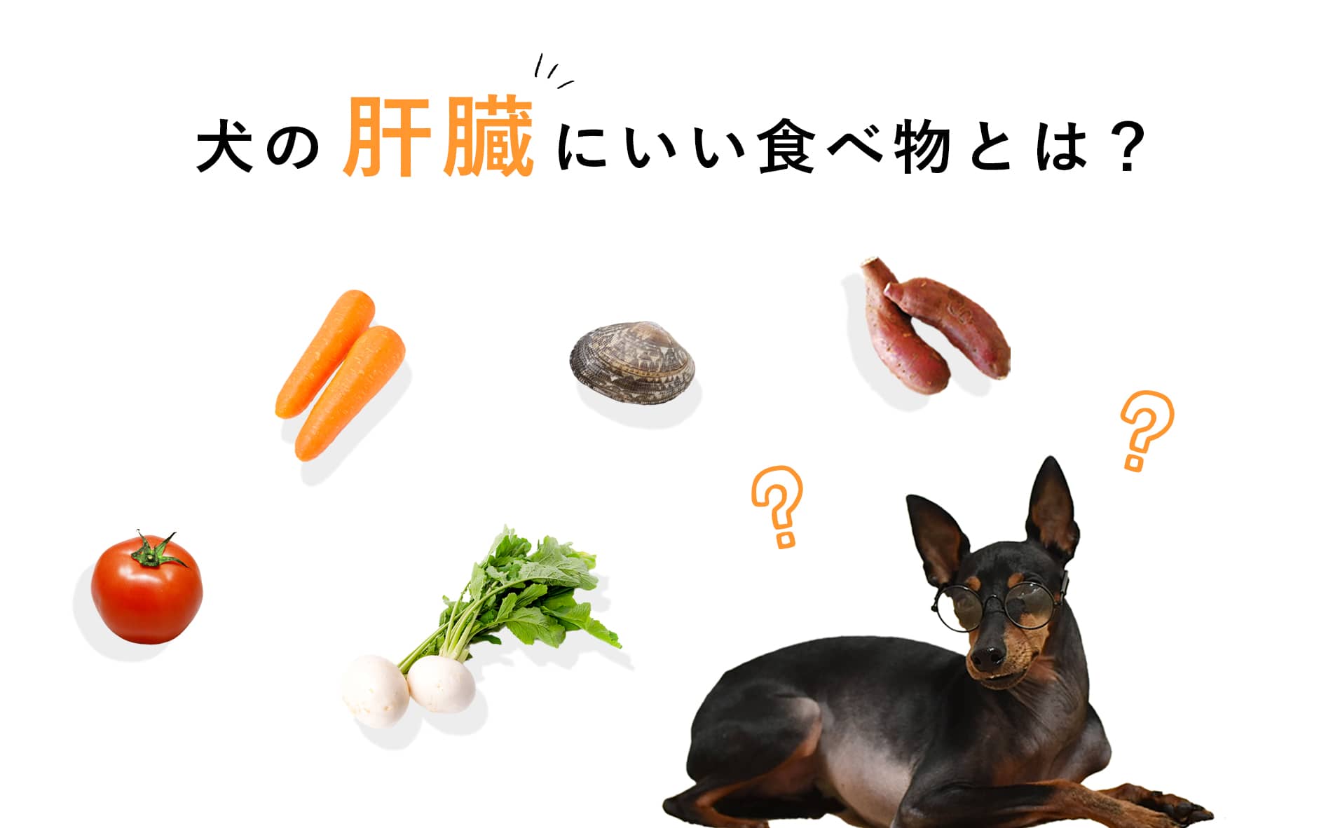 犬 肝臓 に いい 食事 レシピ