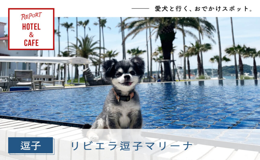 【逗子】犬とリゾート気分を楽しめるドッグフレンドリーな施設『リビエラ逗子マリーナ』