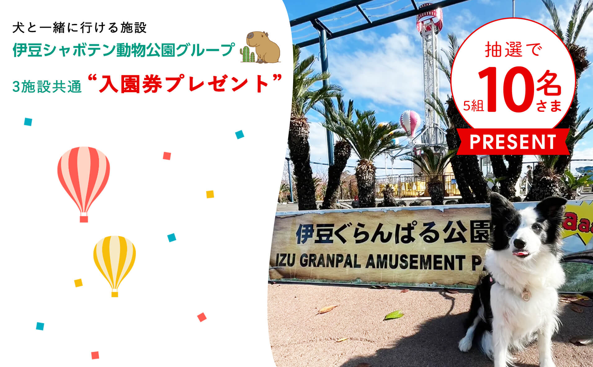 伊豆シャボテン動物公園グループ』3施設共通 ”入場券プレゼント”｜INUMAG（イヌマグ）