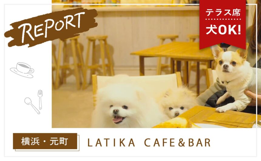 【横浜元町】愛犬とハワイアンの雰囲気を楽しめる『LATIKA CAFE＆BAR』