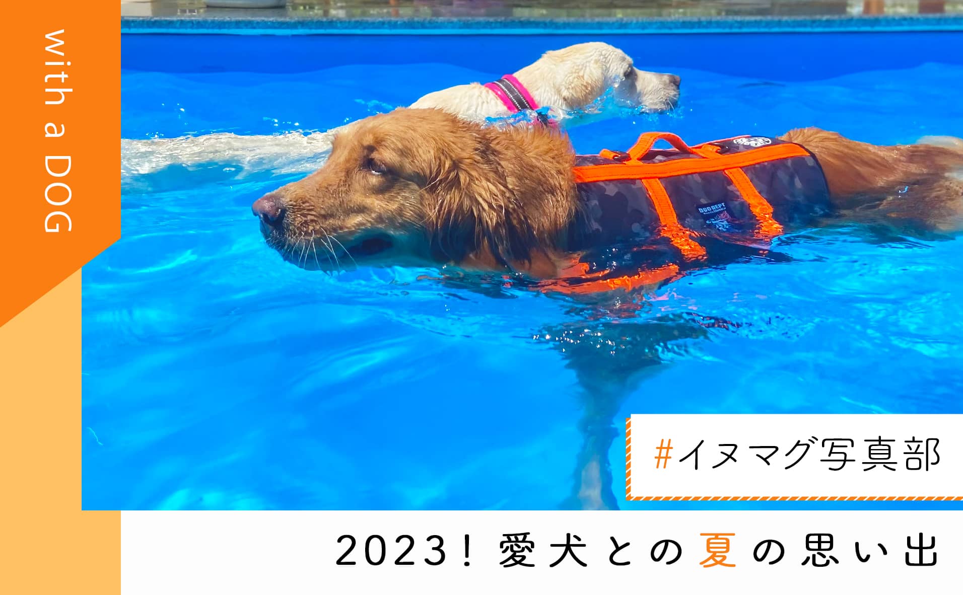 愛犬との夏の思い出〜2023〜「#イヌマグ写真部」