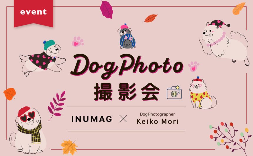 ＜イベント開催＞ドッグフォトグラファーによる愛犬撮影会