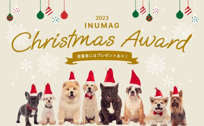 第3回 ＼ INUMAGクリスマスアワード2023！開催!! ／