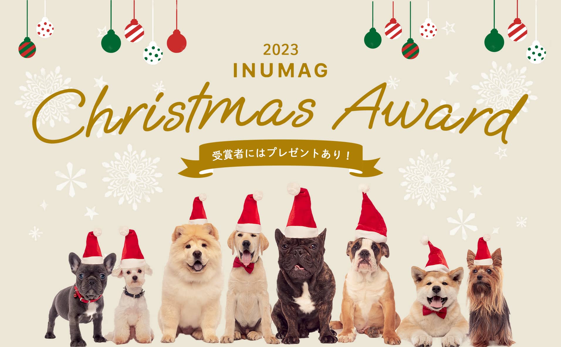 第3回 ＼ INUMAGクリスマスアワード2023！開催!! ／