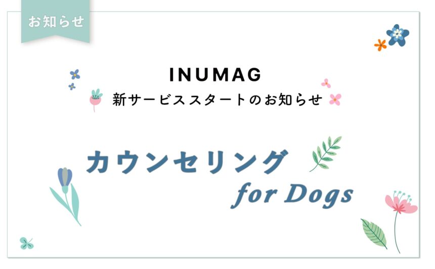 ＼新サービス／『INUMAG カウンセリング for Dogs』スタートのお知らせ