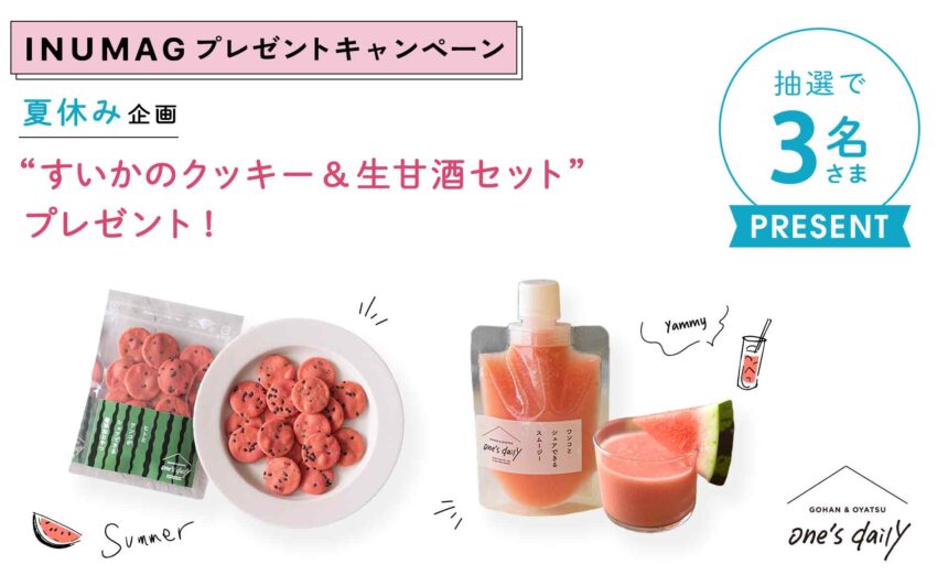 ＼夏休み企画／INUMAGプレゼントキャンペーン「すいかクッキー&生甘酒」プレゼント!!