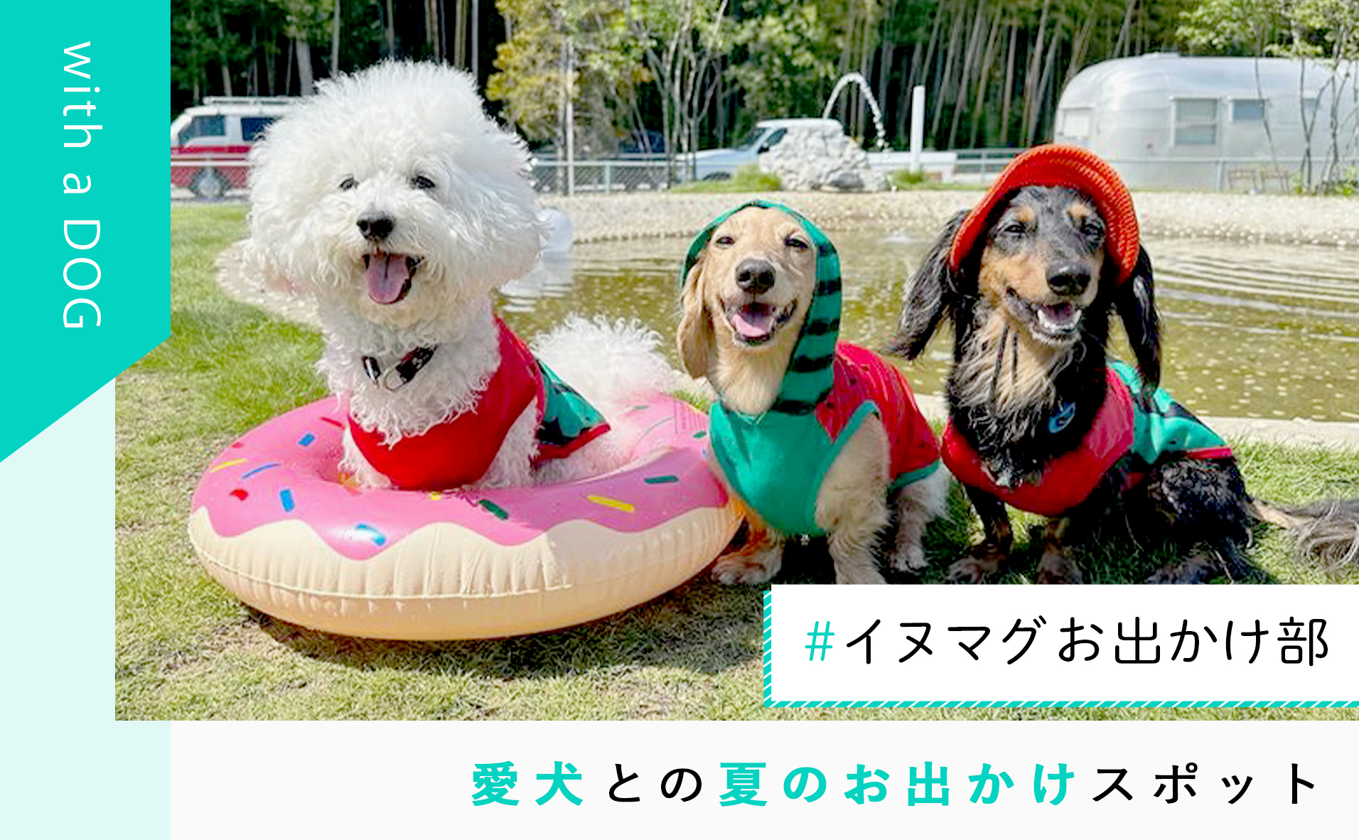 「#イヌマグお出かけ部」プールや室内ドッグランも！愛犬と夏のお出かけスポット編