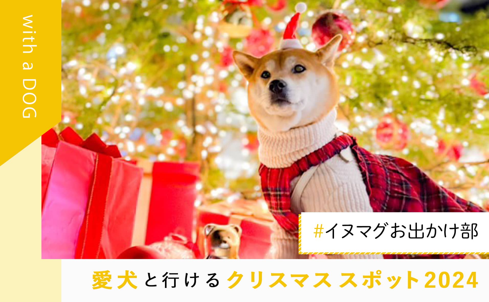 クリスマスシーズンにぴったり！〜愛犬とクリスマスお出かけ2024〜「#イヌマグお出かけ部」