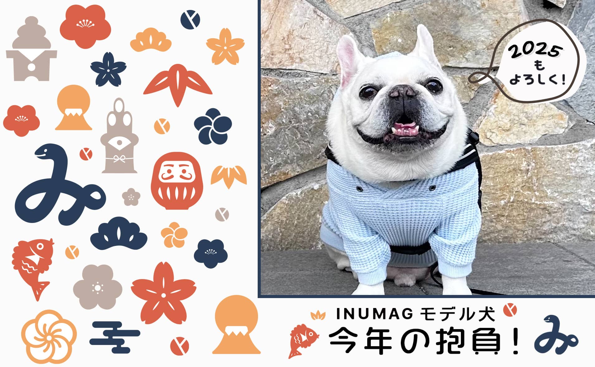 2025年”INUMAGモデル犬の今年の抱負”